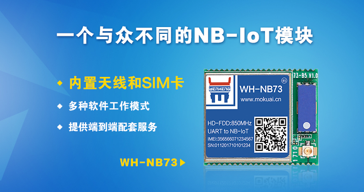 “有人”做了一個(gè)與眾不同的NB-IoT模塊